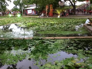 Description: D:\Fam�lia\FLIPORTO 2013\IMG_4818.JPG